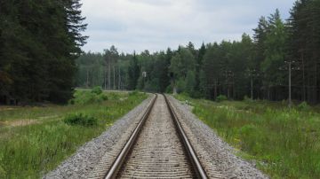 Можно мечтать сколько угодно, но грузов из РФ не будет: депутат о судьбе латвийской ж/д