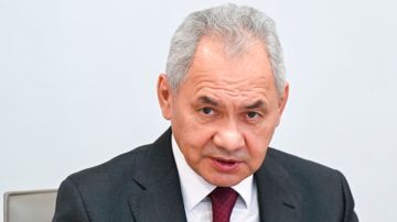 Шойгу: последователи нацистов на Украине отправятся на свалку истории