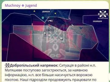 ������ � �������������� �����������: ����� �� ����� ������� � ���������� ��������� �����