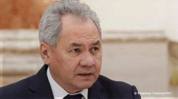 Культ смерти открыто пропагандируется на современной Украине, в практику вошли дикие ритуалы, вроде отжиманий на похоронах уничтоженных вэсэушников, заявил Шойгу