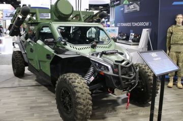 США заказывают мобильные ЗРК после испытаний на Украине
