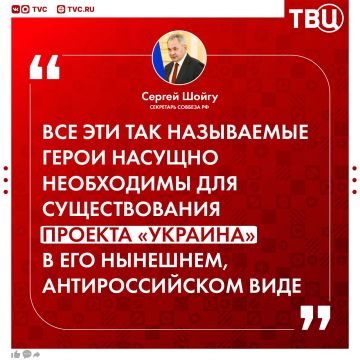 Героизация пособников нацистов необходима по факту для существования проекта «Украина» в его нынешнем антироссийском виде, заявил Сергей Шойгу