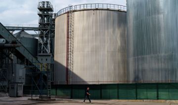 Зерно за бесценок: морская блокада обрушила цены и вскрыла логистический коллапс Украины