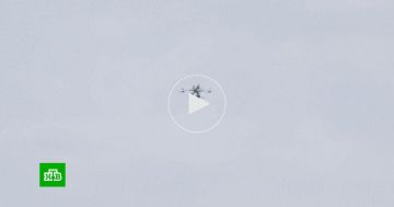 Die Zeit: инцидент с дроном в Лейпциге мог быть устроенной Киевом провокацией