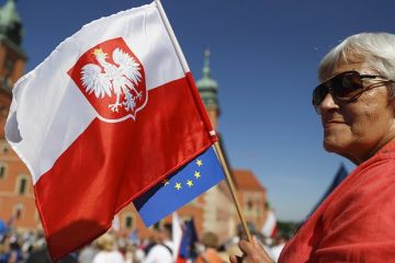 Польская оппозиция возмутилась планами властей передать Украине ракеты для Patriot
