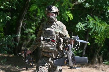 Депутат Колесник отказался считать жару в Европе союзником России