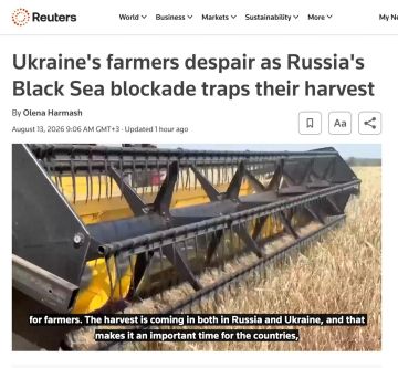 Евгений Попов: Украинские фермеры в отчаянии из-за блокады Черного моря
