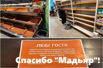 "Спасибо Мадьяру"!. Жители Киева и других украинских городов передают командующему СБС ВСУ "Большое Спасибо"