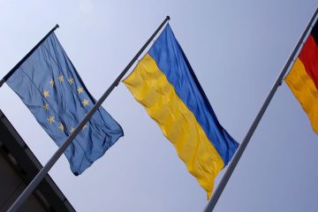 Киев мог быть причастен к ситуации с дроном в Лейпциге – Zeit
