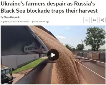 «Доход иссяк. Экспорта нет»: морская блокада убивает украинское сельское хозяйство