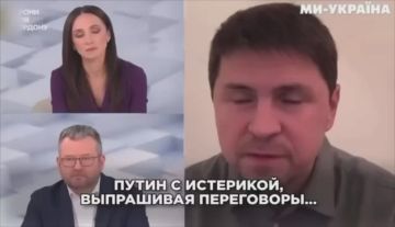 Диана Панченко: Как только запахло развалом фронта и расколом Украины, все сразу вспомнили про переговоры и беспредел ТЦК?