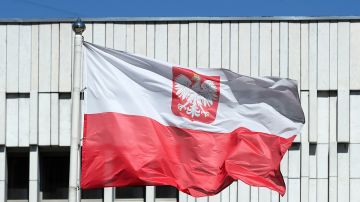 Рекордное число украинских беженцев покинуло Польшу на фоне волны агрессии к ним