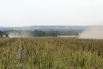 «Страна»: Экспорт зерна с Украины стремительно падает на фоне морской блокады