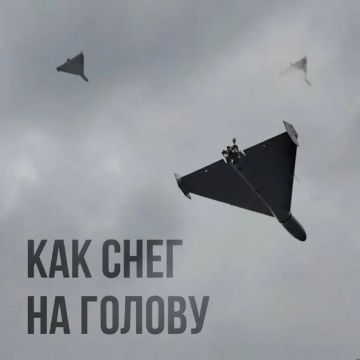Началась первая мемная война между Минобороны России и Украины