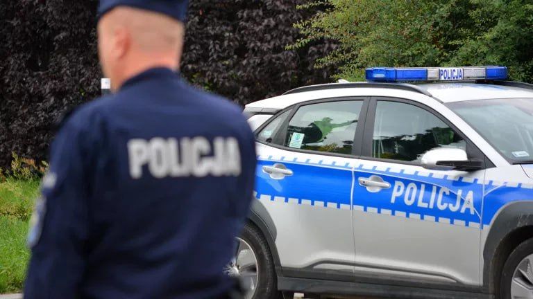 В Польше женщины бросаются на украинских мужчин! Но есть нюанс