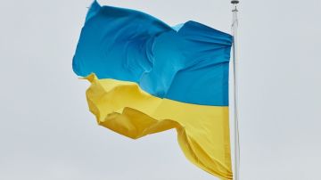 Украинский сайт "Миротворец"* обвинил 11-летнего россиянина в "покушении на суверенитет"