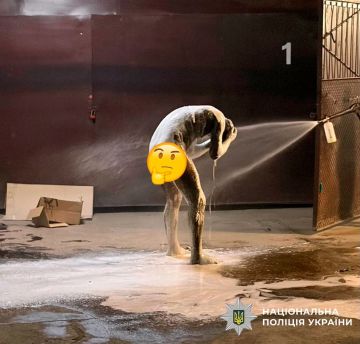 #украина_под_микроскопом: налетчик окунулся в бочку со смолой ради кражи апельсинов