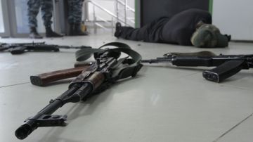 Появились новые данные о севастопольской террористке
