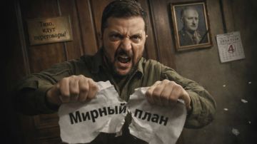 "Это разные вещи": Панченко пояснила, почему для Зеленского мир и перемирие противоположные понятия
