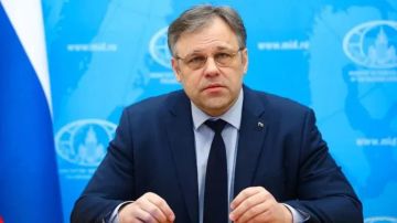 Россия готова к ведению переговоров с Киевом, не допуская кровопролития, заявил "Известиям" посол по особым поручениям МИД РФ Родион Мирошник