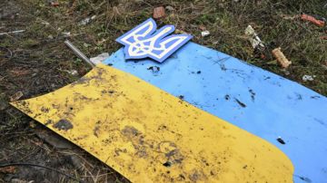 В Британии назвали «полным фиаско» помощь НАТО Украине