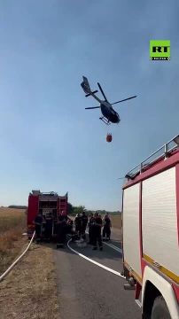 Братская помощь. Несмотря на политическую напряженность в российско-сербских отношениях после визита Зеленского в Белград, «на земле» продолжается активное межведомственное сотрудничество
