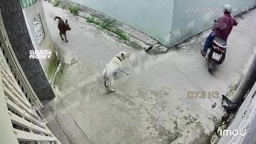 ������ ����, ����!. ������ ����, ����������! �� �������� �������, ��� �������
