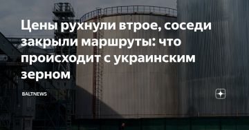 Владислав Шурыгин: Обещанный Литвой коридор через Клайпеду для украинского зерна тихо скончался
