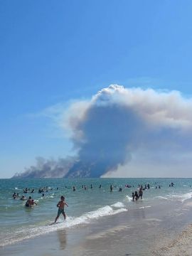 Вид с пляжа в селе Приморское (около Вилково Одесской области) после прилета