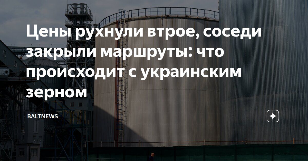 Владислав Шурыгин: Обещанный Литвой коридор через Клайпеду для украинского зерна тихо скончался