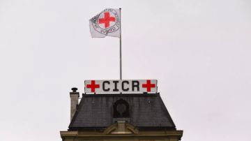 Количество продавших за время конфликта на Украине увеличилось до 266 тысяч