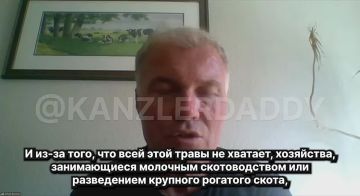 «Когда Украине нужно какое-нибудь оружие, деньги есть