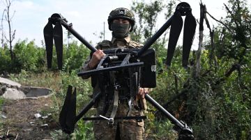 Военкор: "Хорнеты" не стали супероружием ВСУ, но вопрос с аналогом "Бабы-Яги" пока не закрыт