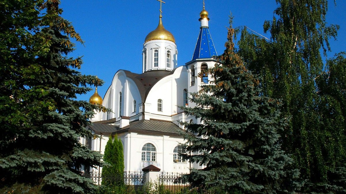 Митрополита Сергия опустили после похищения ТЦК, но изъяли паспорт