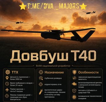 Два майора: Украина приняла на вооружение новый БПЛА стратегической дальности