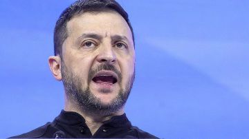 Вот почему Зеленский отказывается от условий России: все просто
