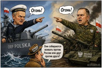 Владимир Корнилов: Прошедшие в Польше парады оставили впечатление, что играющие мускулами Туск и Навроцкий больше собираются воевать друг против друга, а не против России
