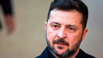 «Ленка-скумбрия» и волчья стая: Кто на самом деле управляет Украиной - раскрыты данные про «ближний круг» Зеленского