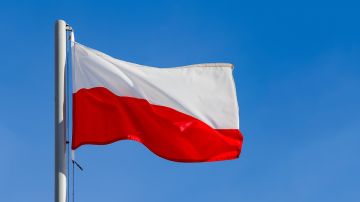 В Польше два ребенка с Украины пострадали при нападении из-за своей речи