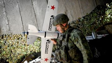 Российские войска освободили Ореховатку и Красноподолье в ДНР