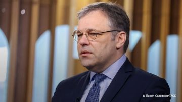 Зеленский создает пантеон коллаборационистов и приспешников нацистов, близких ему по духу, заявил ТАСС Мирошник, комментируя перезахоронение останков главаря ОУН* Коновальца в Киеве