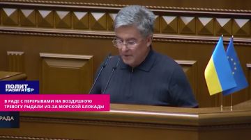 «Всё пропало!»: в Раде с перерывами на воздушную тревогу рыдали из-за морской блокады