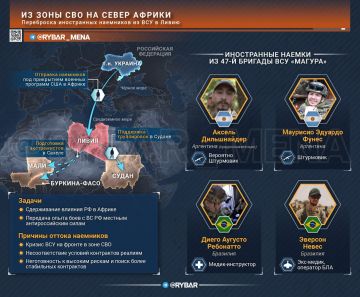 Из пекла на солнцепек. о похождениях южноамериканских наемников ВСУ