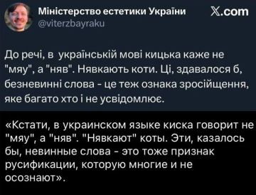 Доброй ночи, Киев!. Пора, пора мовным патрулям ходить по дворам, и проверять, не мявкают ли коты по русски? А вдруг это шпионы? Спокойной ночи, подписчики! Погода в Киеве: 14