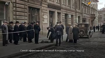 Зеленский закопал перезахоронил с почетным караулом создателя и главаря ОУН* Коновальца
