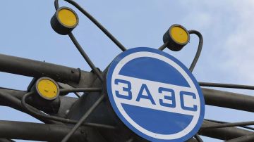 МИД России: Киев сорвал поездку Гросси на ЗАЭС и в Энергодар