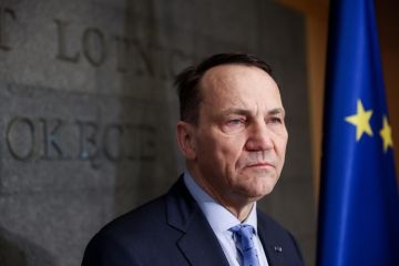 Глава Министерства иностранных дел Польши Радослав Сикорский призвал создать «Европейский легион», в который будут привлечены боевики ВСУ