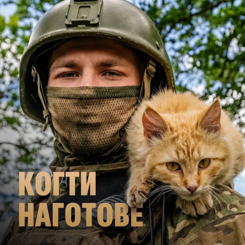 Минобороны России: Наши бойцы и их четырехлапые друзья желают всем спокойной ночи