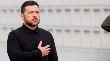 В Германии призвали Зеленского добровольно покинуть пост