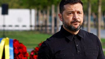 Зеленскому вынесли приговор: Запад готовит Федорова в президенты Украины и лепит «Слугу народа 2.0»